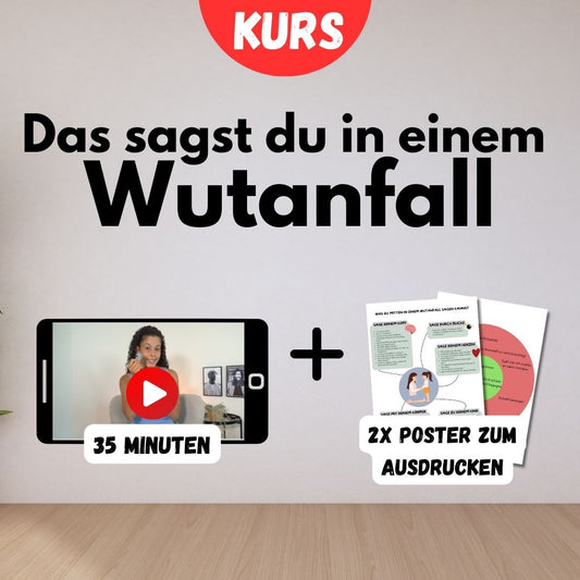 Kurs + Poster | Das sagst du in einem WUTANFALL | 35min + 2x Poster mit allen Sätzen